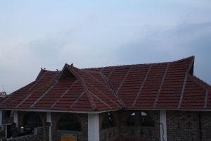 I need a house like that...