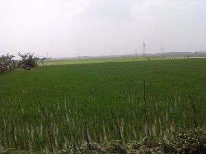 Approaching Kanyakumari