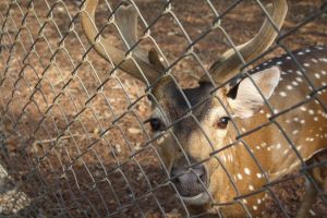 This one's tryin to tell me something...