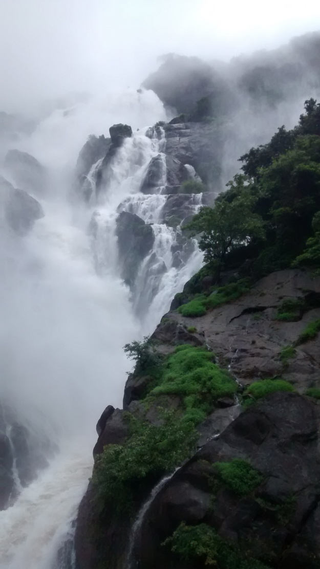 Dudhsagar Upclose
