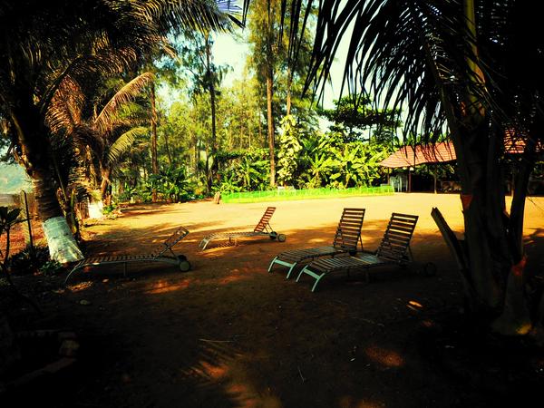 Recliners beside the resort for the best view to the beach