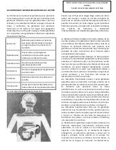 Taller lectura las hormonas