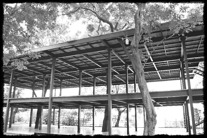 #SriniOnTour - Hyderabad (Tree House) - Lumbini Park
