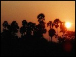 Sunset Enroute Kancheepuram