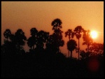 Sunset Enroute Kancheepuram
