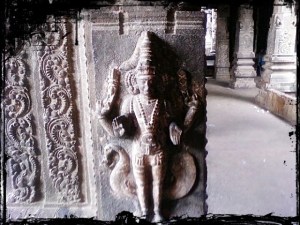 Beauty of the Curves