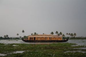 A houseboat into the backwaters of Allepy