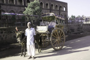 The Infamous Tonga of Bijapur :)