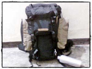 Valley of Flowers - Backpacking Begins...