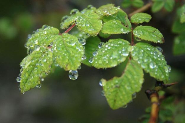 226098_10150344419220152_620825151_9788108_687780_n