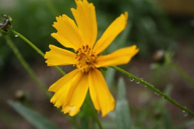 251440_10150344412215152_620825151_9788019_4899843_n