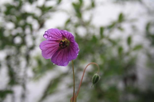 293902_10150344420070152_620825151_9788130_1340723_n (1)