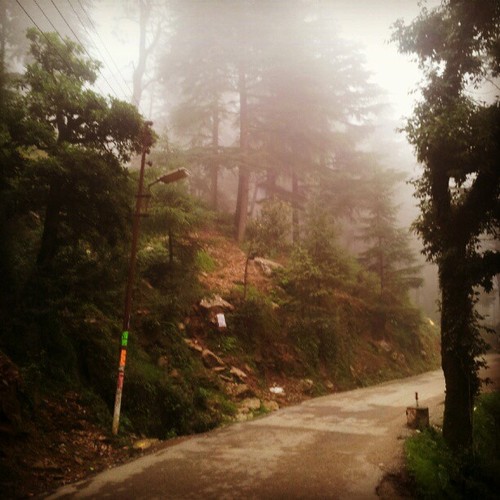 The ever foggy McLeodganj… 