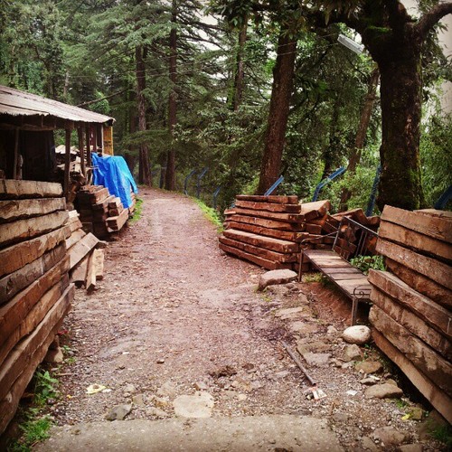 Some Lumberjacks enroute, Cantt bus stop. Some Lumberjacks enroute, Cantt bus stop.