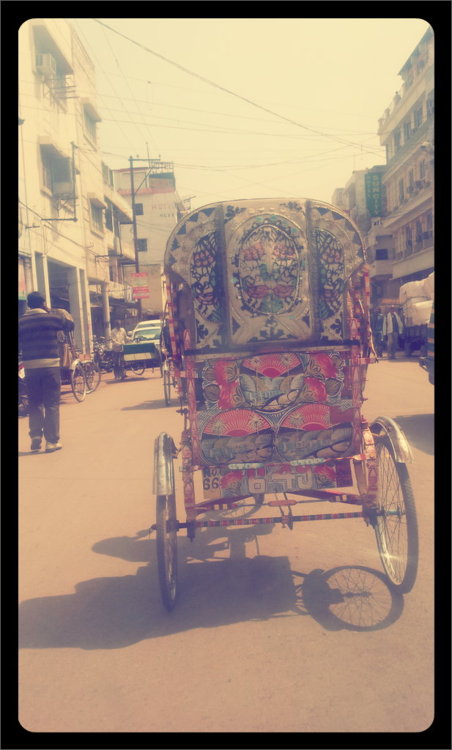 Cycle Rickshaw in Allahabad 