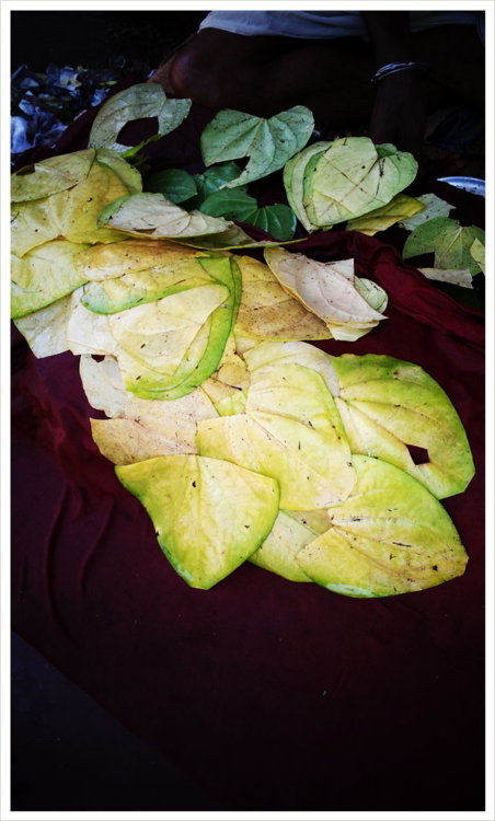 The famous Banarasi Paan