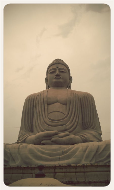 Buddha Statue in the Japanese Temple