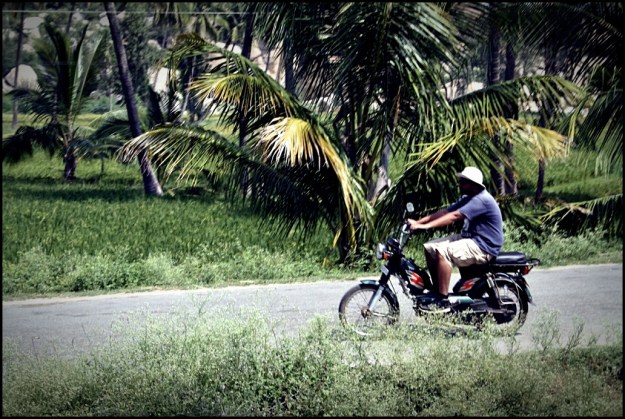 Riding away... Riding away...