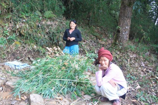 377451_10150469051595152_996165786_n