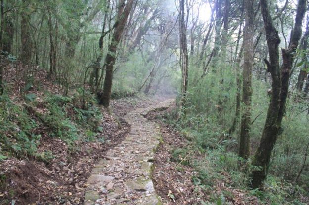 377451_10150469051600152_444596841_n