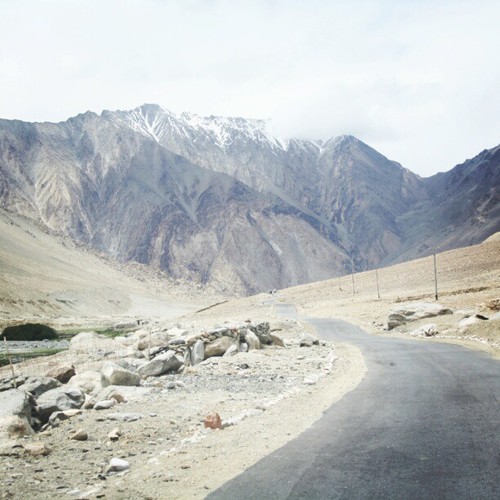 Pangong Tso, Ladakh, Leh, Jammu and Kashmir, India, travel, himalayas