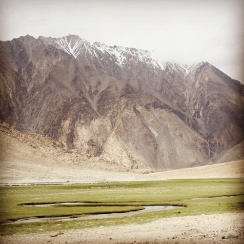 Snow covered mountains and greenery at the same time