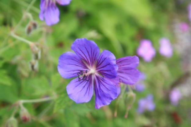 198749_10150344421860152_2948444_n