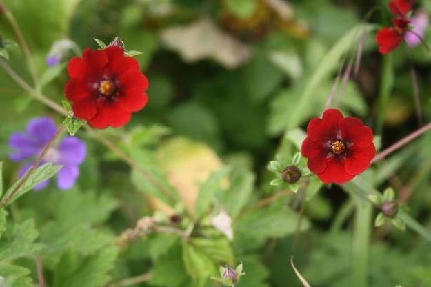 228888_10150344422165152_1598227_n