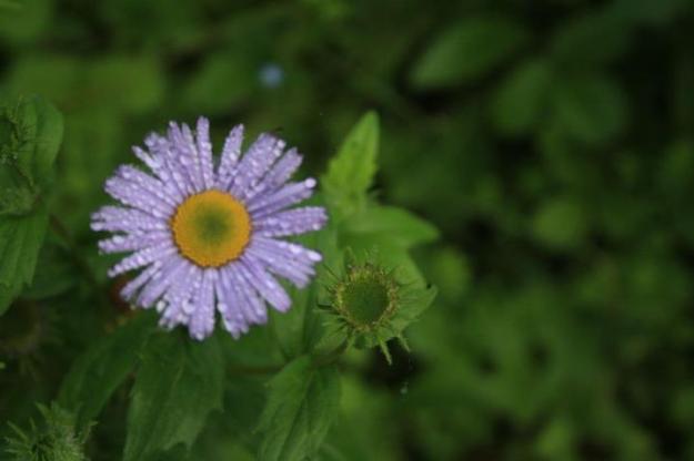 267236_10150344420205152_6164565_n