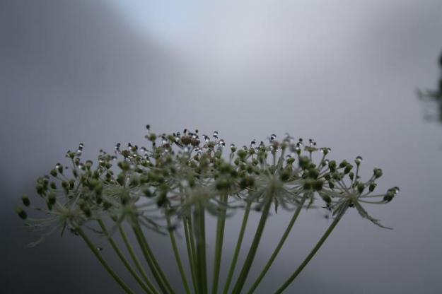 292043_10150344420020152_5219547_n