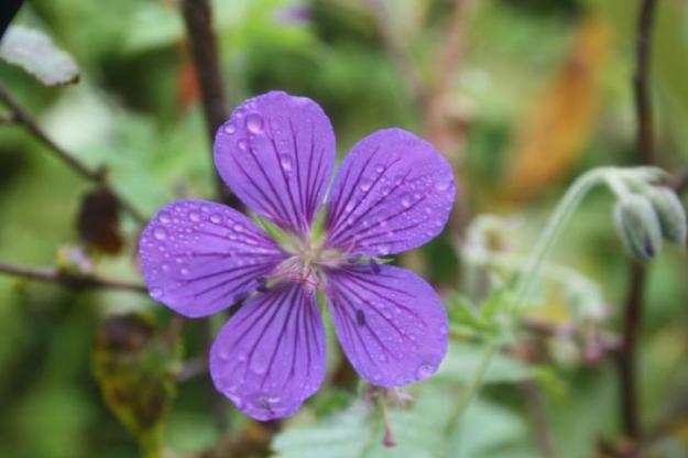 293930_10150344421465152_7766360_n