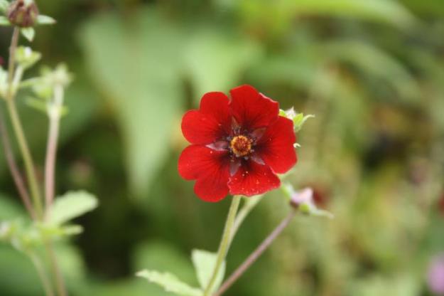 294443_10150344421680152_47252_n