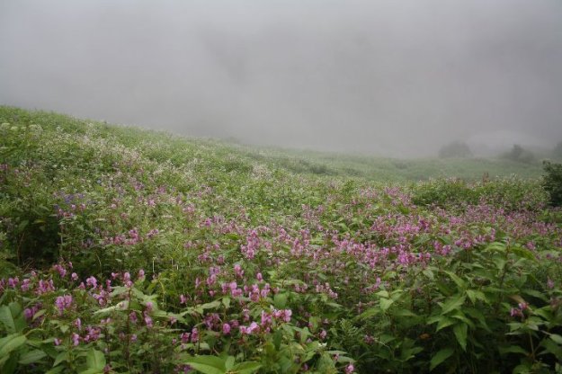 295332_10150344421720152_4918306_n