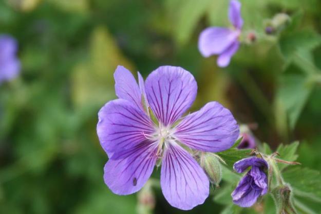 295353_10150344422060152_3464597_n