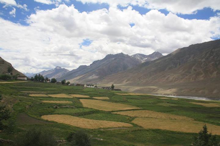 The road to Spiti isn't just about barren terrains