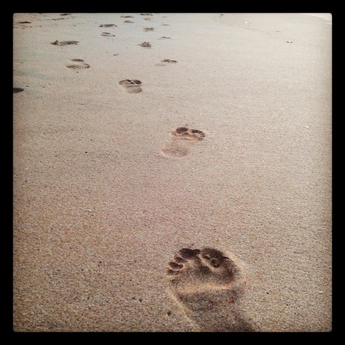 tumblr_mxvmjbM3JA1r34ruqo1_500