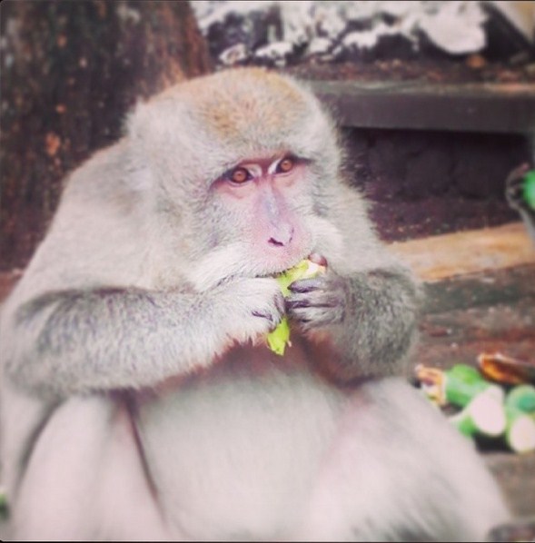 Uluwatu Temple, Bali