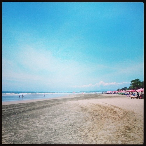 tumblr_myknfiubG11r34ruqo1_500