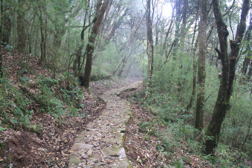 Trails of the Hills and Woods