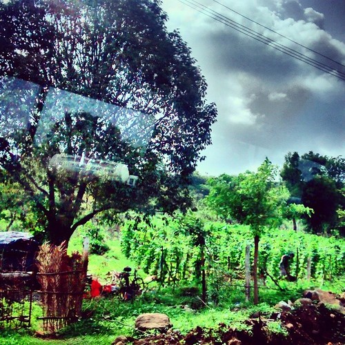 Enroute Kolad - Picture Perfect Painting