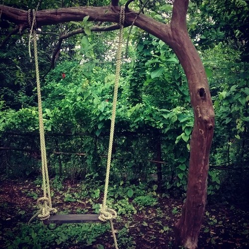 Swing at Ecotrail