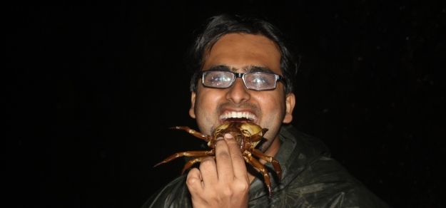 Friendly Banter with a local crab