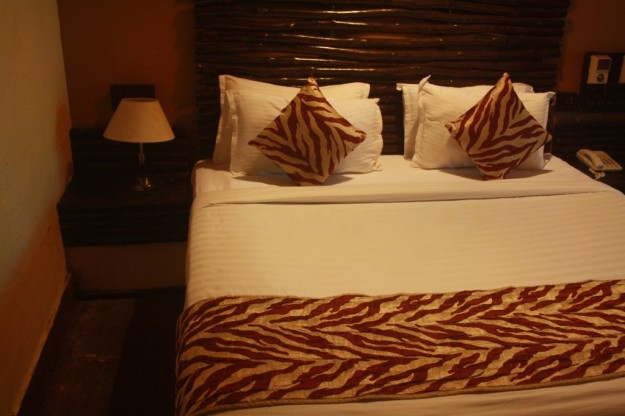 Comfort in the Jungle