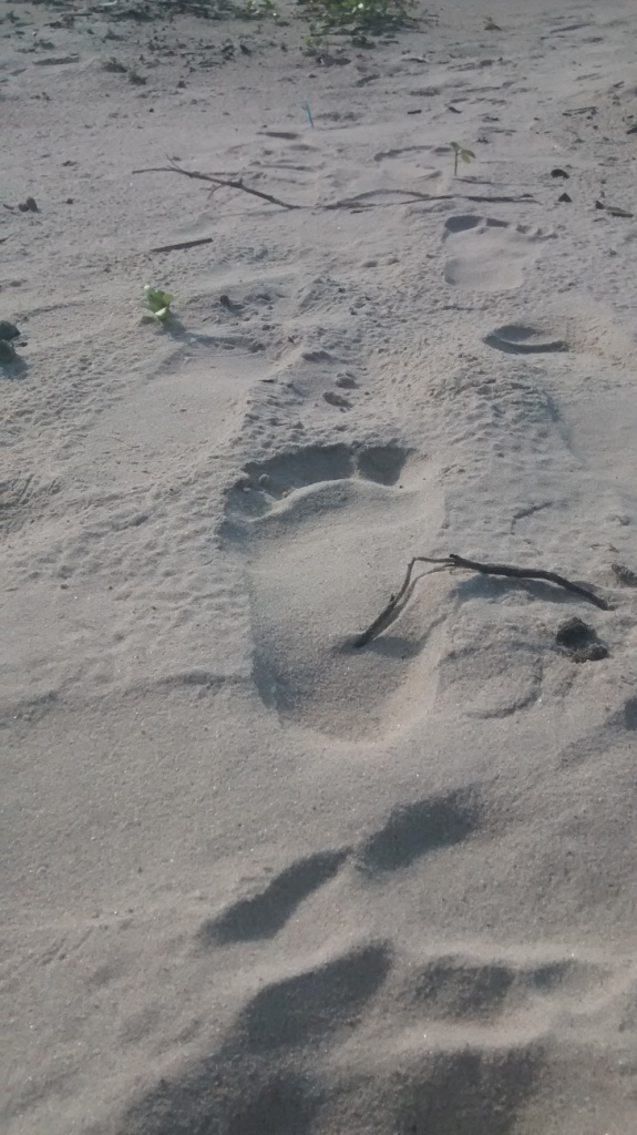 White Sand Footsteps