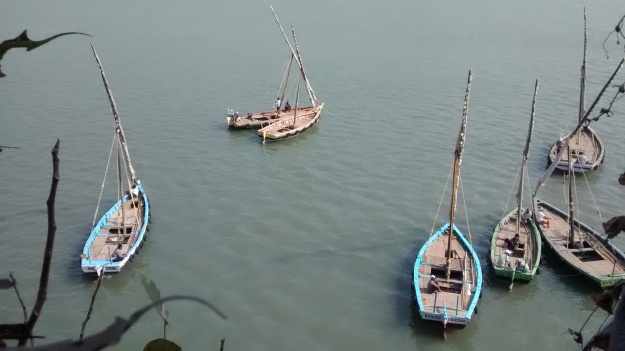 IMG_20150118_110653099