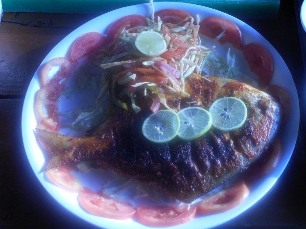 Golden Swan Resort, Murud, KAshid, Beach, Alibag, Murud Janjira