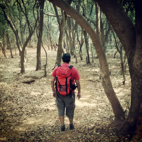 tumblr_nmyqp000pT1r34ruqo1_500