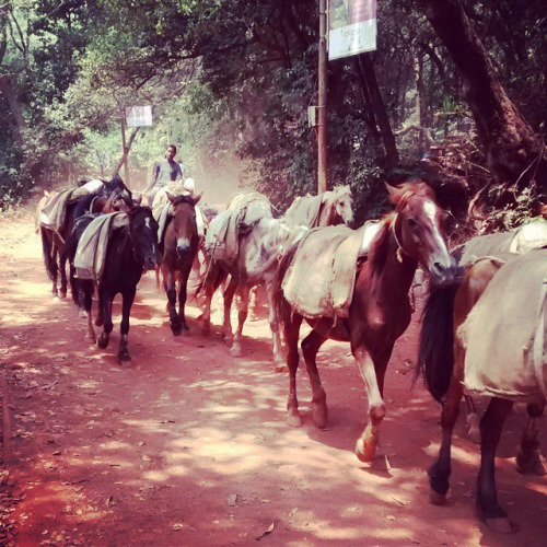 tumblr_nmyqy5BzEE1r34ruqo1_500