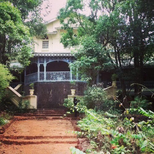 tumblr_nn0hb2Ce4B1r34ruqo1_500