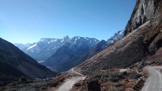 IMG_20141111_082759267.jpg image